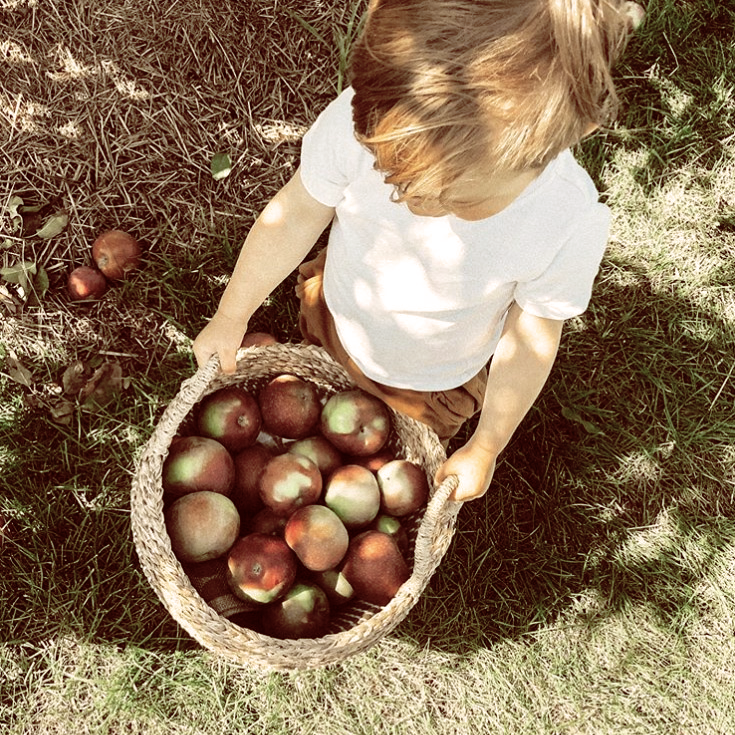 SweeTango™ Season! 🍎 - Pleasant Valley Orchard